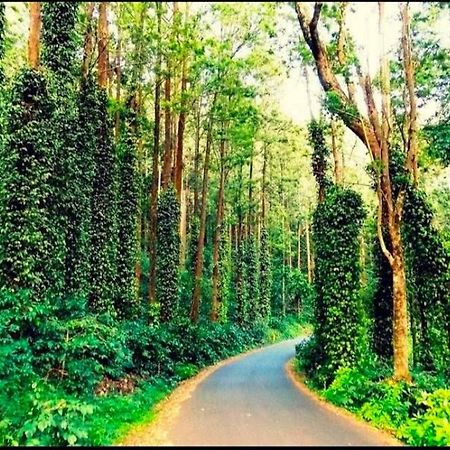 Sp Resort Inn Yercaud Exteriér fotografie