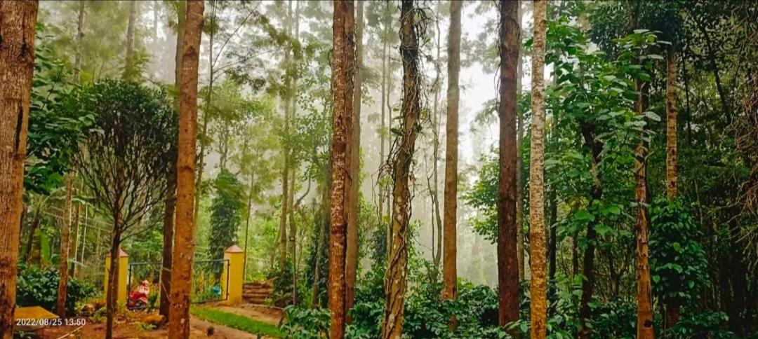 Sp Resort Inn Yercaud Exteriér fotografie